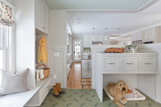 transitional-entry