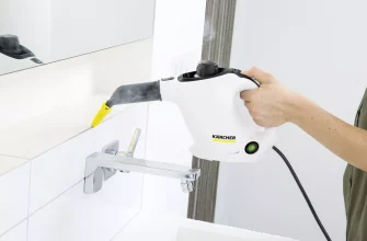 Пароочисник Karcher